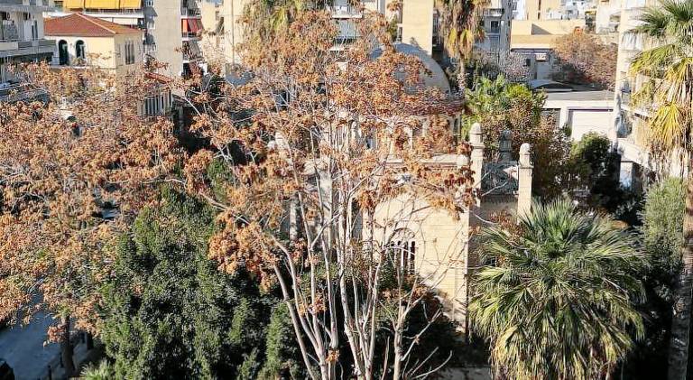 Lovely rental apartment | Next to Temple of Hephaestus | Pet-friendly in Athens