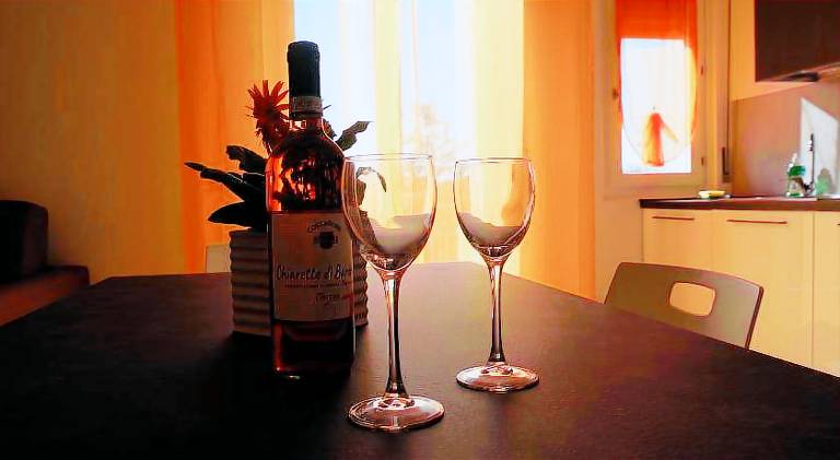 Charming apartment with yard & private pool | Good for workation | Dogs allowed — photo 4