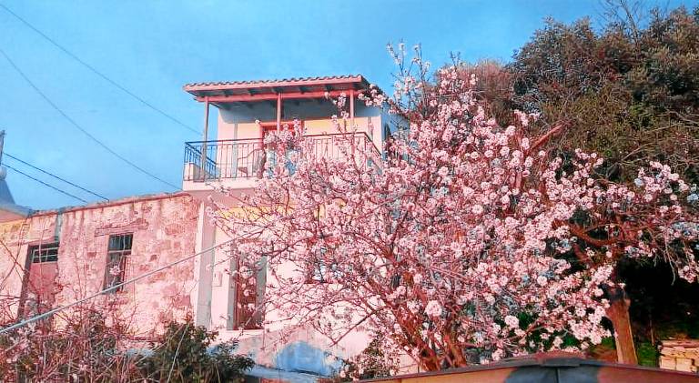 50 m&sup2; Ferienwohnung