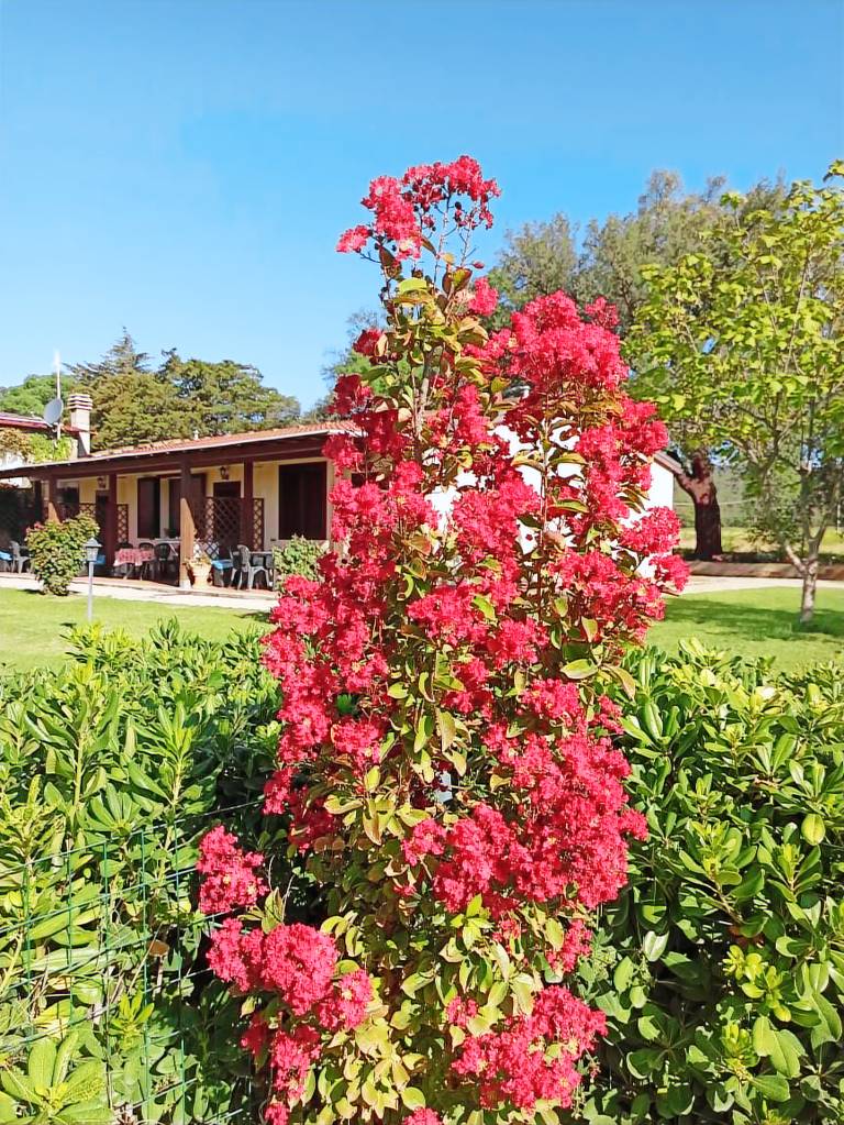 Agriturismo Roccastrada