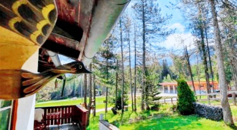 Chalet with jacuzzi — photo 3