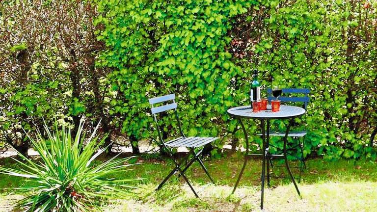 Ferienhaus  Malchiner See