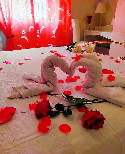 Bed & Breakfast Frascati