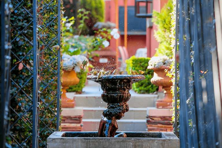 Ivory Manor Boutique Hotel