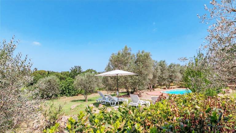 Romantic cottage, sleeps 6, with large windows nice view overlooking the Tuscan countryside. Priva — photo 4