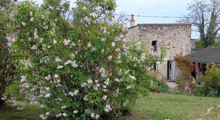 House with 1 room for 2 persons — photo 4
