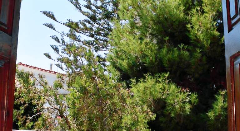 Pension Felippe — photo 3