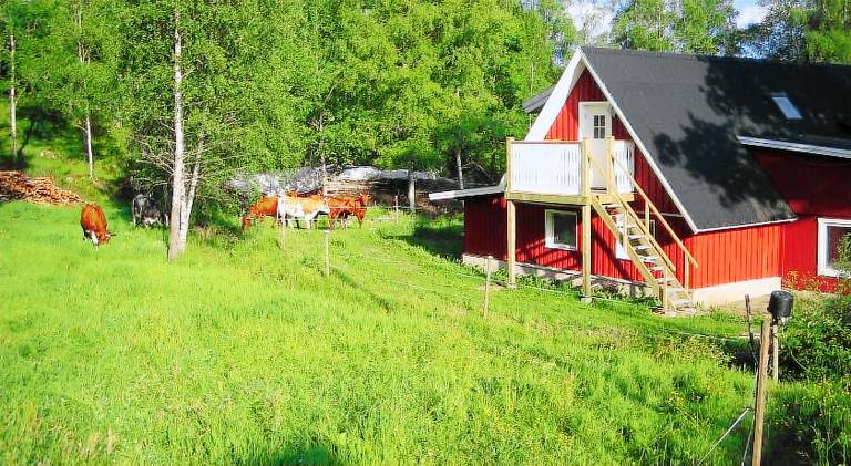 House with 3 rooms for 7 persons — photo 5
