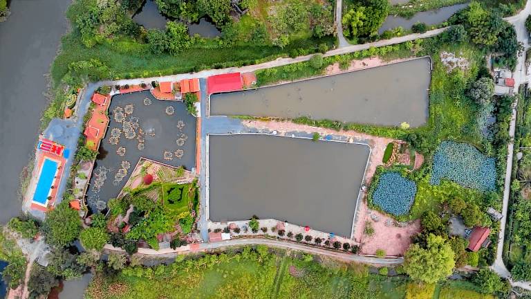 Tam Coc Cat Luong Homestay in Hoa Lu