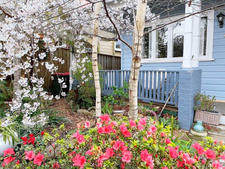 Cottage Katoomba