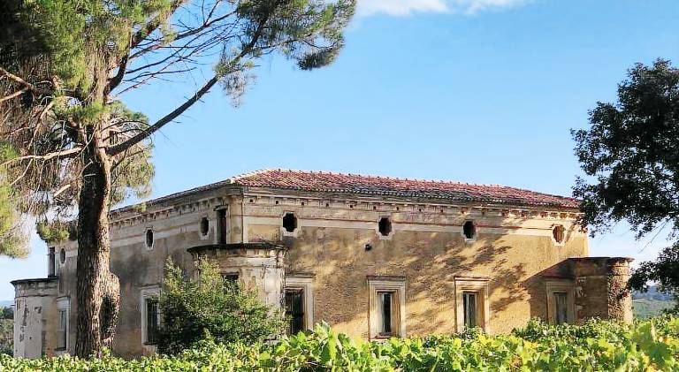 Holiday apartment with BBQ, yard & terrace in Cosenza