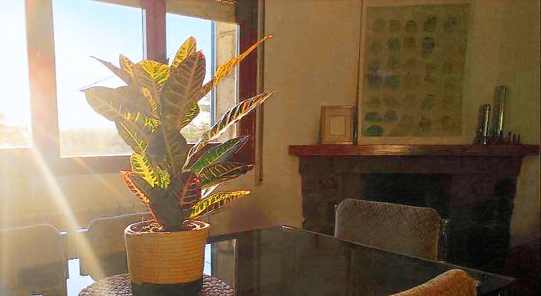 Holiday apartment with patio & yard — photo 3
