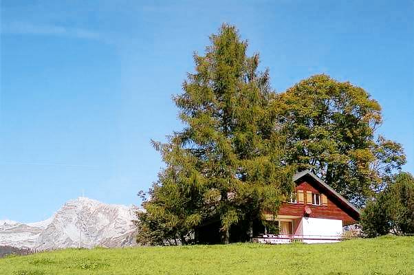 Ferienhaus Wildhaus