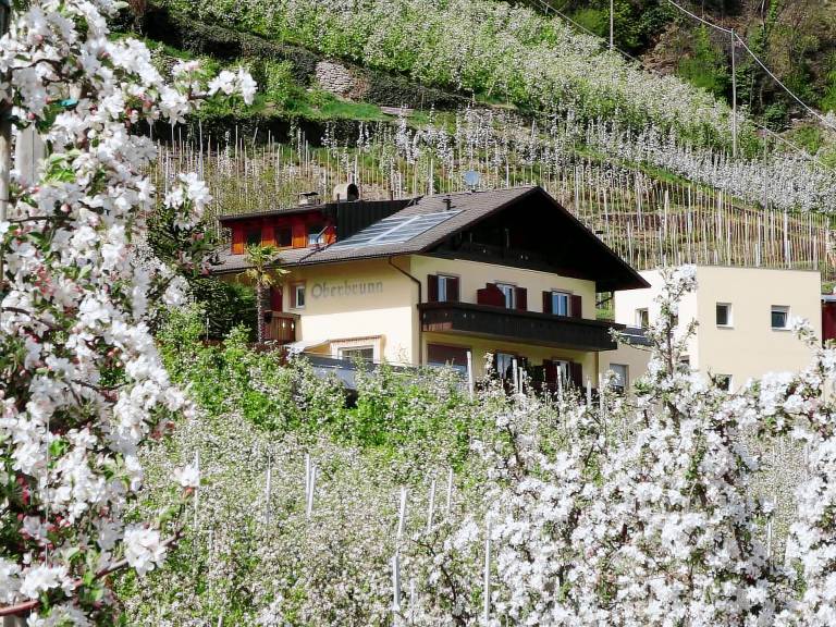 Ferienwohnung  Naturns