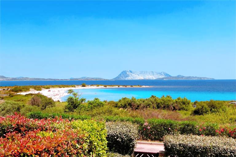 Leilighet San Teodoro