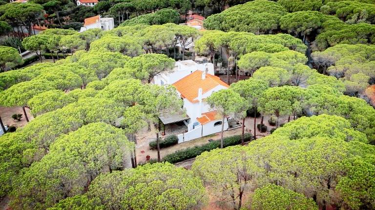 Villa  Pula