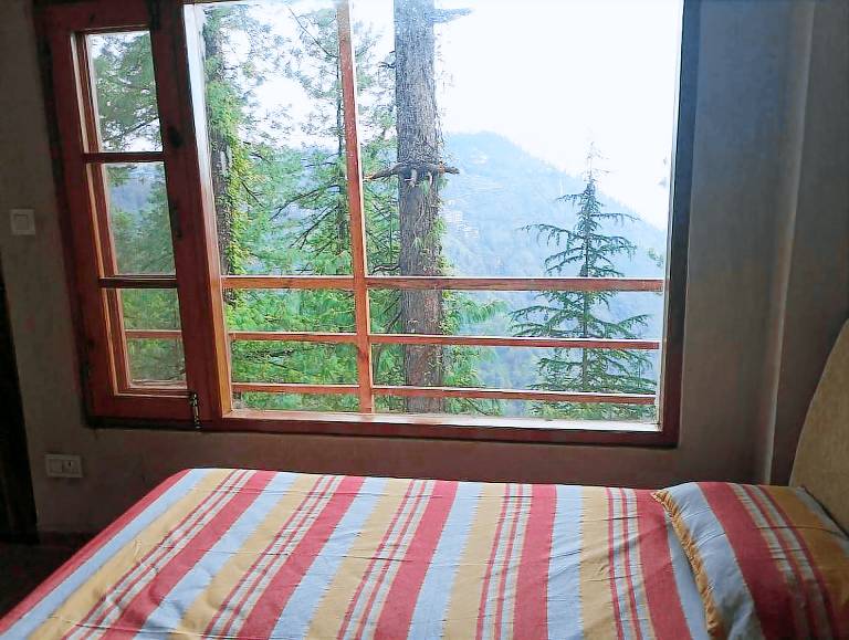 Vacation home | Pets allowed — photo 4