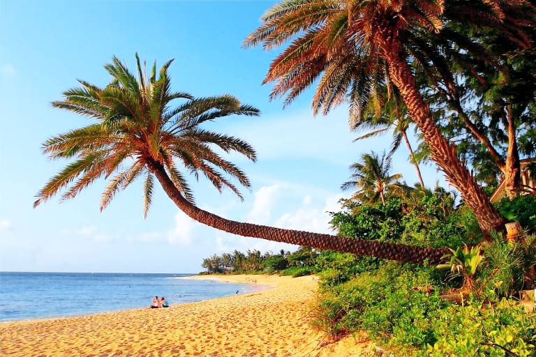 House Turtle Bay
