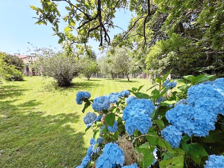 Gite with pool, grill & garden | Dogs allowed — photo 4