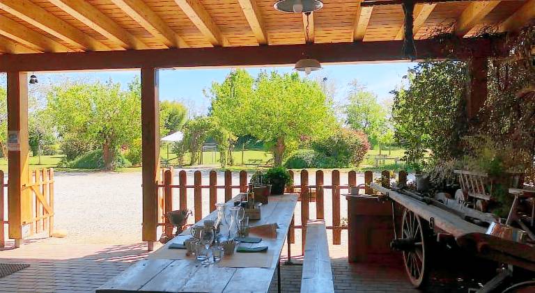 Agriturismo il Podere Vedelago con San Bernardo, Alpaca e una Pentola di cose da scoprire — photo 2