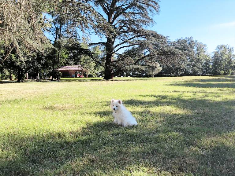 Fully equipped castle with grill, private pool & garden | Pets allowed — photo 3