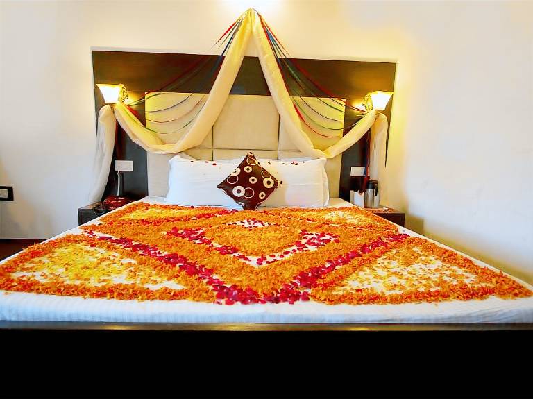 Hotel Daffodil in Manali