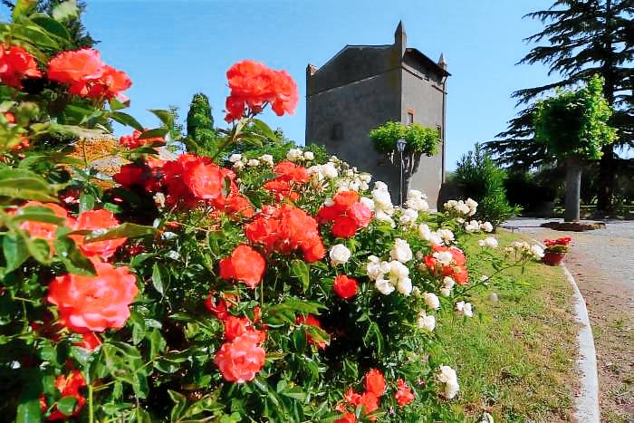 Magica Torre Medievale: Classic — photo 3