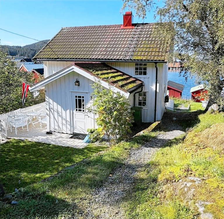 Ferienhaus mit Hund in Råkvåg, Norwegen fuer max. 6 Personen