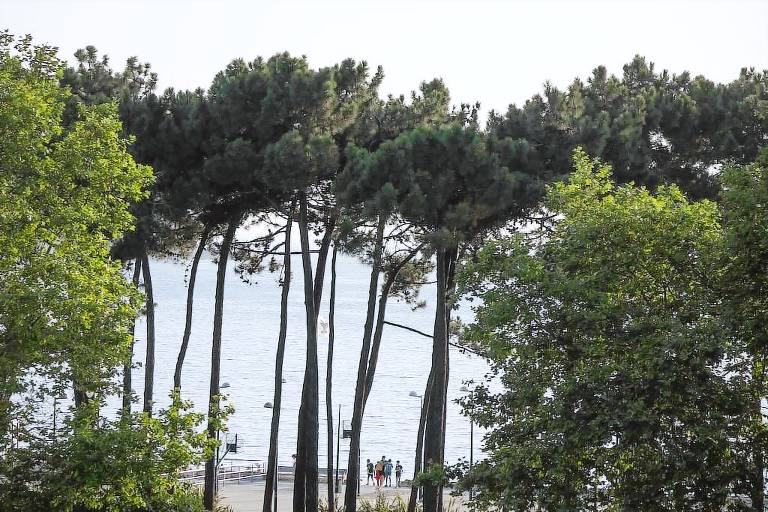Apartamento  Vigo