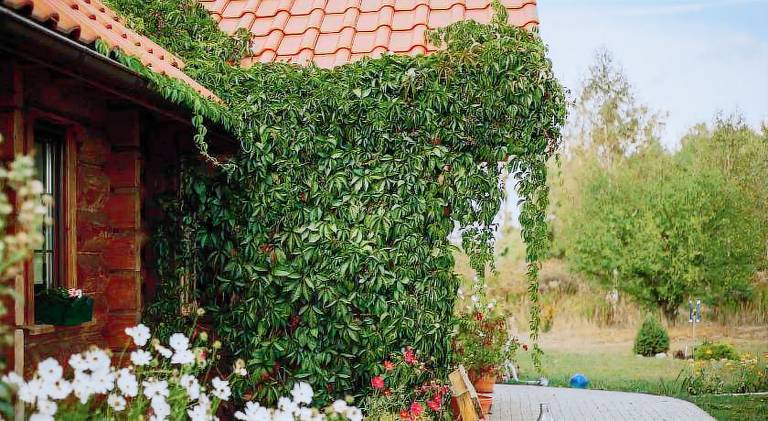 Agroturystyka Miłomłyn