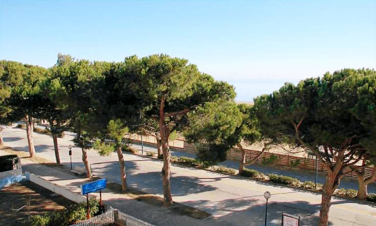 Bright apartment with sea view — photo 2