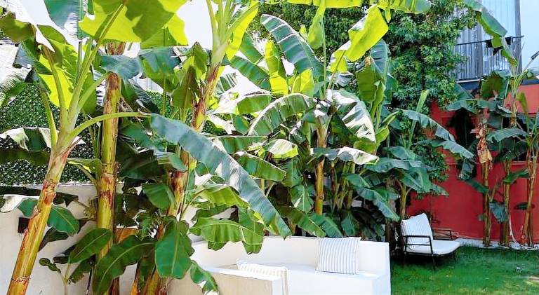 Holiday apartment with terrace & BBQ — photo 3