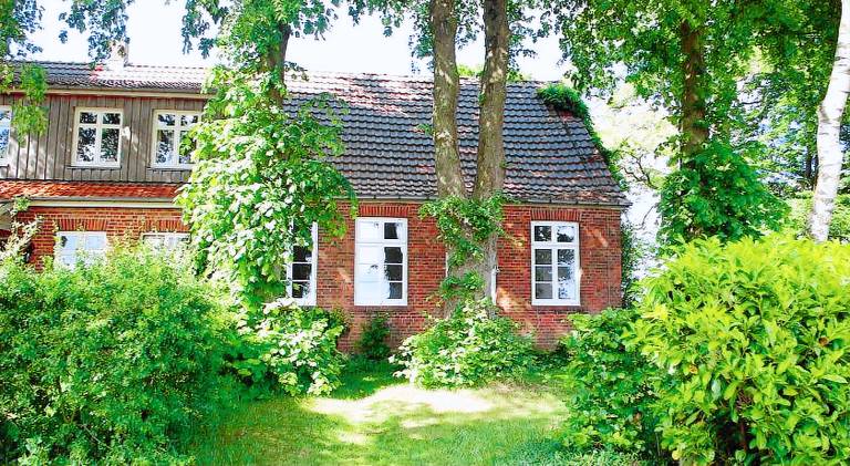 Pleasant apartment | Pet-friendly in Osnabrueck