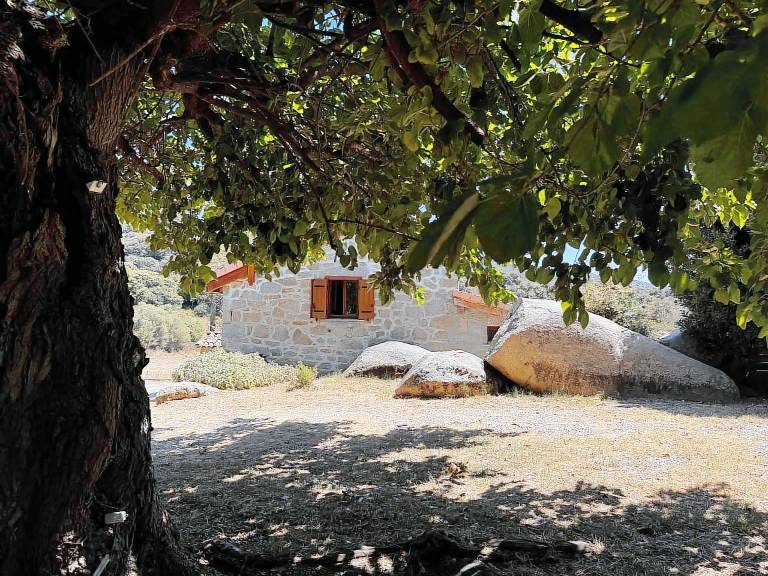 Chalet Grosseto-Prugna