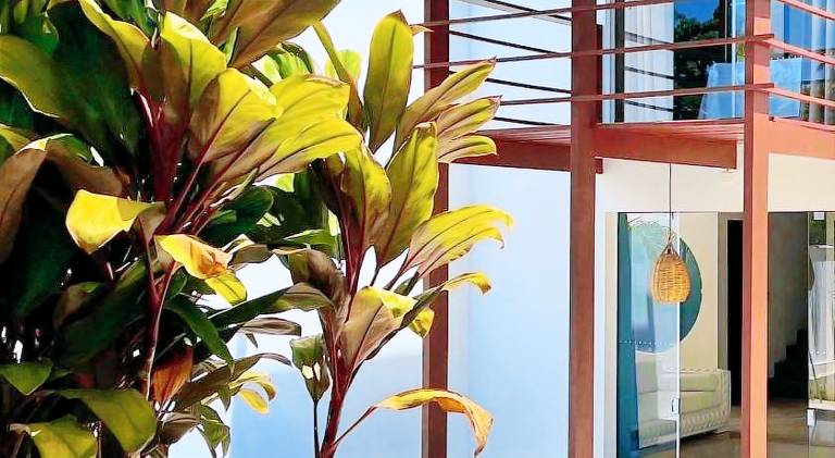 Villa with barbeque, private pool & patio | Close to the beach | Perfect for remote work | Dogs allowed in Tibau do Sul