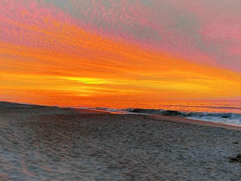House Surf City