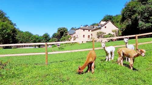 Bed and breakfast  Sauveterre-de-Rouergue