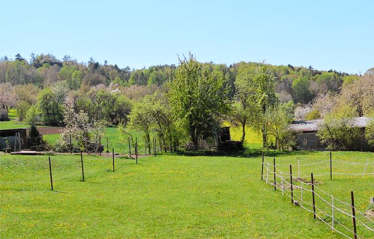 foto2
