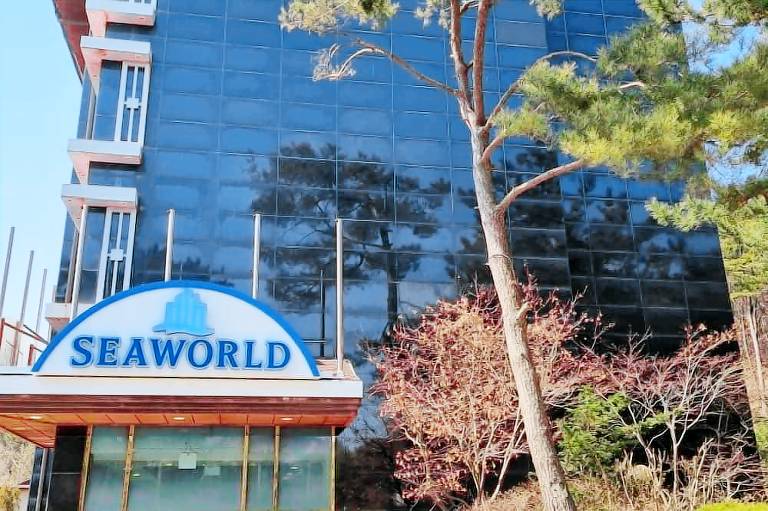 Hotel Seaworld