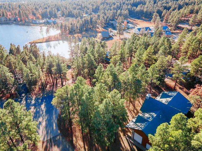 Cabin Pagosa Springs