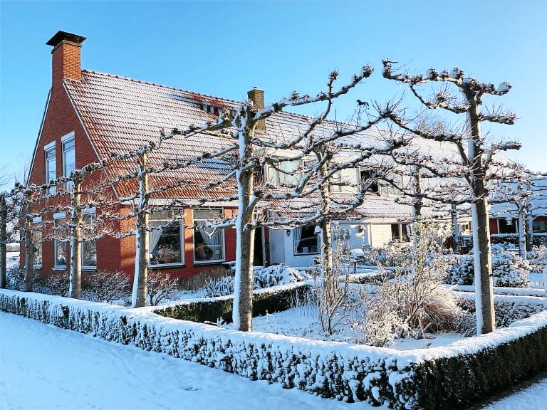 foto2