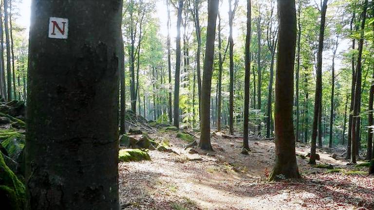 foto4