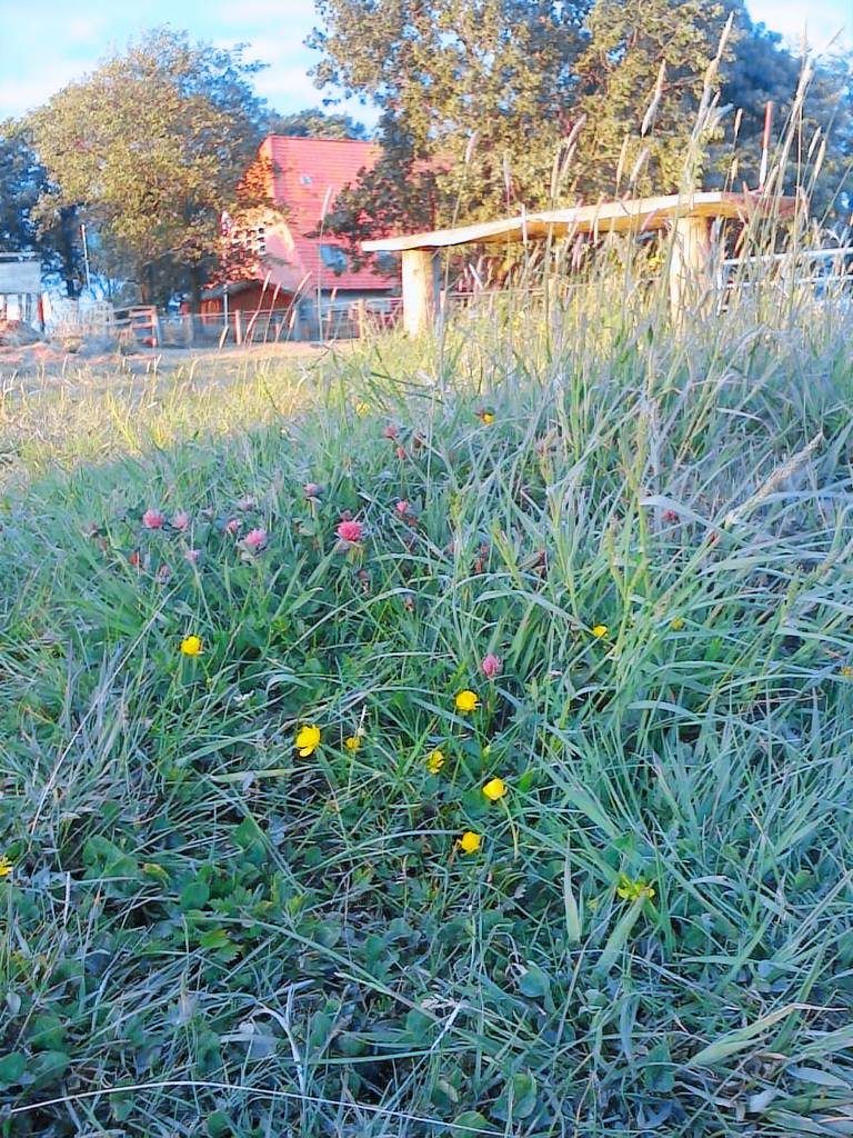 Rental apartment | Pets allowed — photo 4