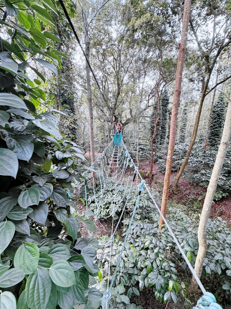 Villa with garden & barbecue — photo 4