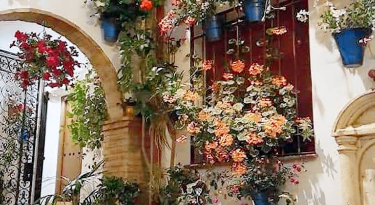 Lovely house | Next to Mosque–Cathedral of Córdoba | Pets allowed — photo 5