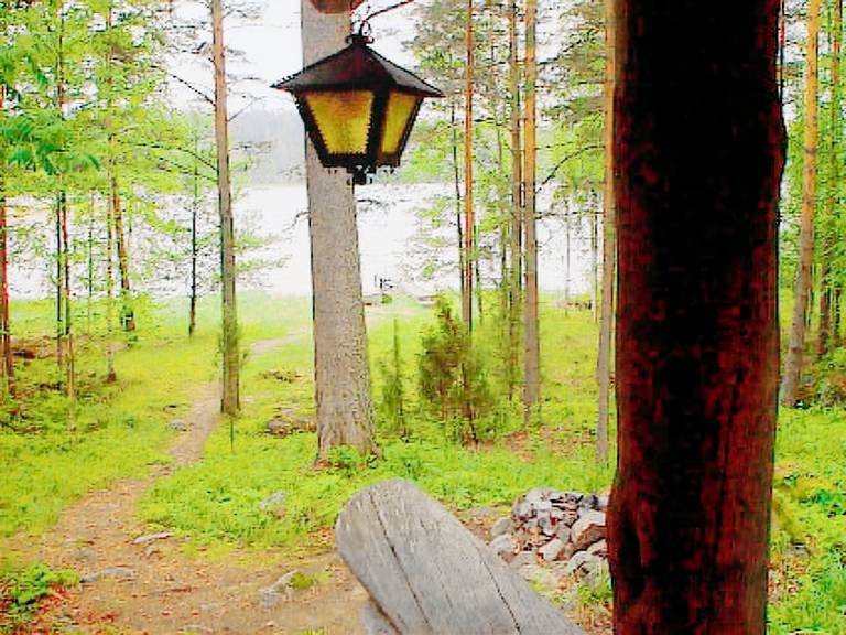 House with sauna | Nature view | Dogs allowed — photo 3