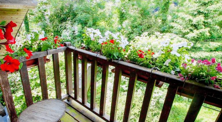 Vacation home | Pet-friendly — photo 4