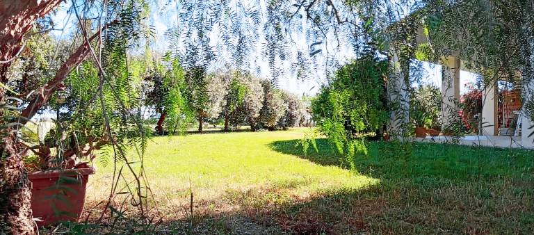 Agriturismo Giganti Verdi – a due passi dal mare: Appartamento Pepe