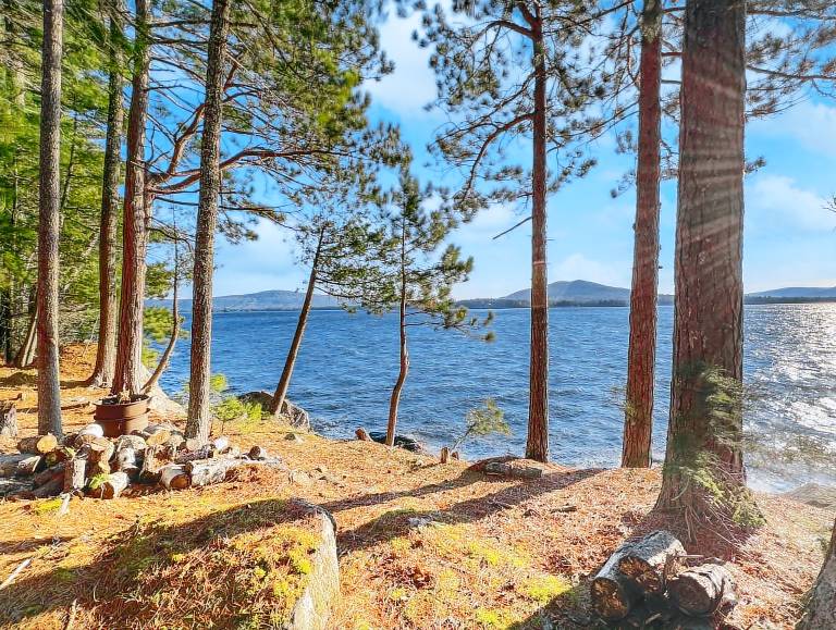 Cabin Beaver Cove