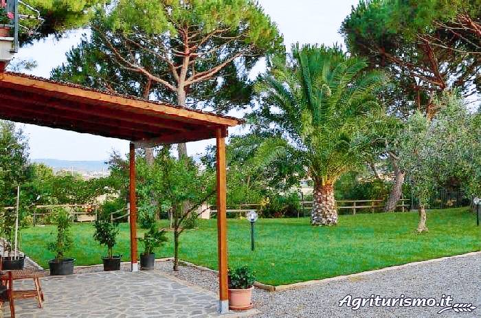 foto7